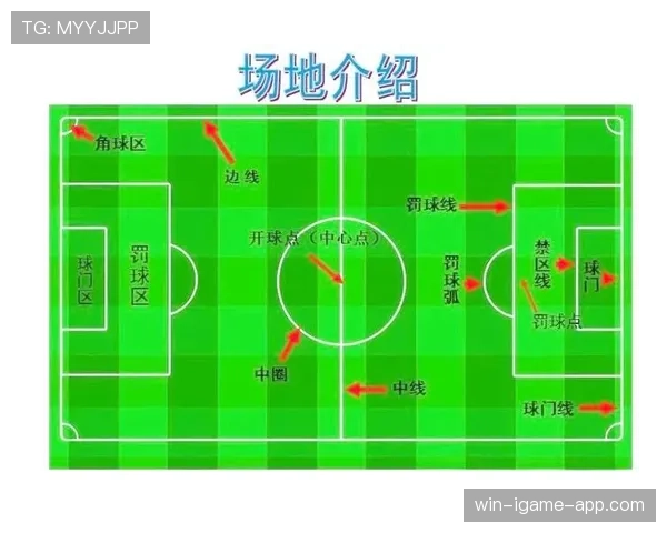 足球规则中身体冲撞的判罚标准与合法对抗界定